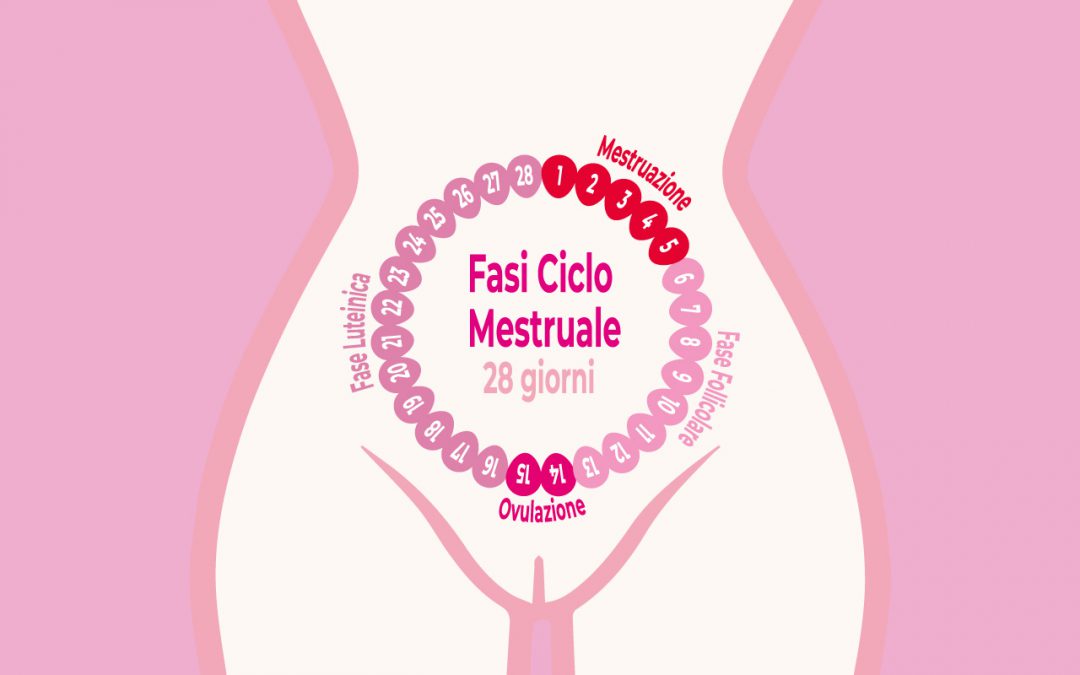 Le fasi del ciclo mestruale e le mestruazioni : la nostra ciclica armonia