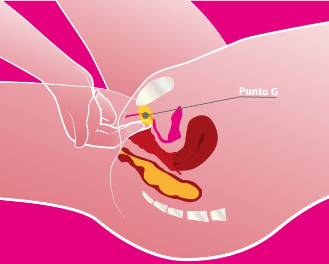 Prima volta e sesso: consigli su come introdurre il pene in vagina | MEDICINA ONLINE