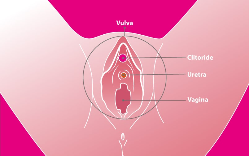 I punti più eccitanti masturbazione femminile