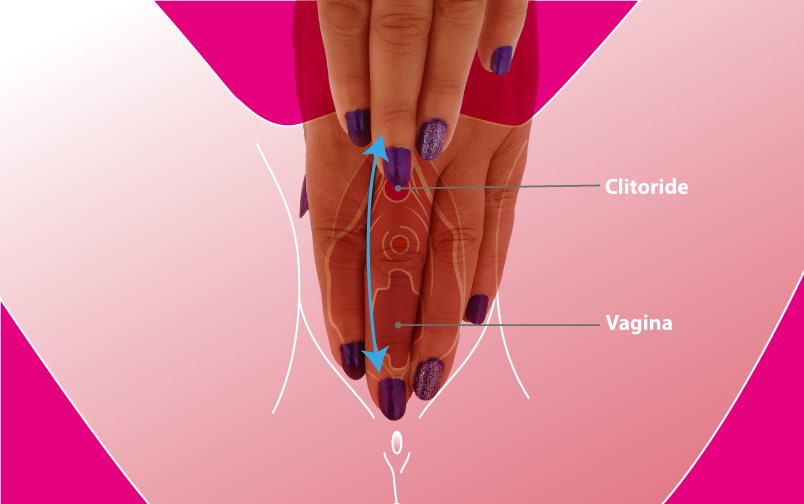 tecnica stimolazione vulva masturbazione femminile