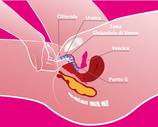 squirtig o eiaculazione femminile