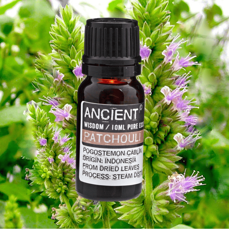 olio essenziale patchouli