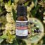 Olio essenziale may chang litsea cubeba